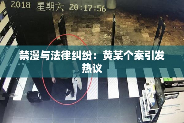 禁漫与法律纠纷：黄某个案引发热议