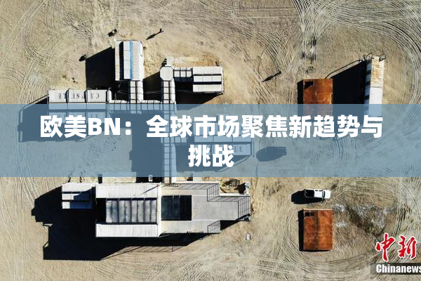 欧美BN：全球市场聚焦新趋势与挑战