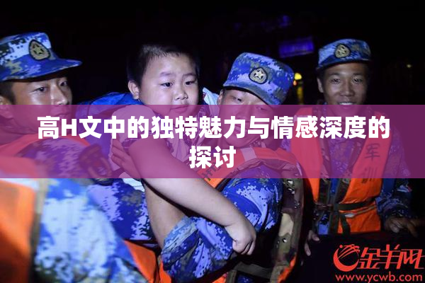 高H文中的独特魅力与情感深度的探讨