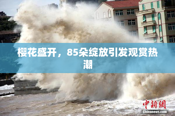樱花盛开，85朵绽放引发观赏热潮