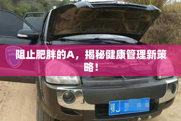 阻止肥胖的A，揭秘健康管理新策略！
