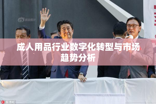 成人用品行业数字化转型与市场趋势分析