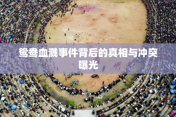 鸳鸯血溅事件背后的真相与冲突曝光