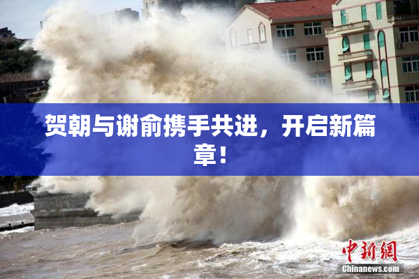贺朝与谢俞携手共进，开启新篇章！