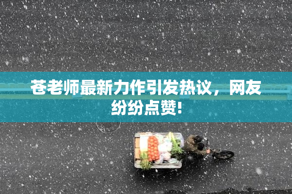 苍老师最新力作引发热议，网友纷纷点赞!