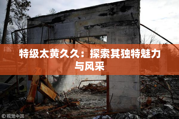 特级太黄久久：探索其独特魅力与风采