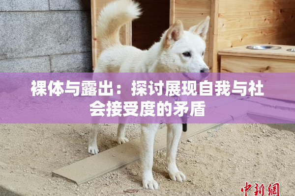 裸体与露出：探讨展现自我与社会接受度的矛盾
