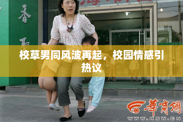 校草男同风波再起，校园情感引热议