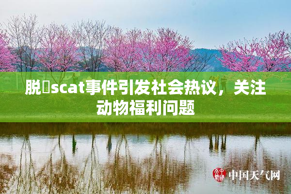 脱糞scat事件引发社会热议，关注动物福利问题