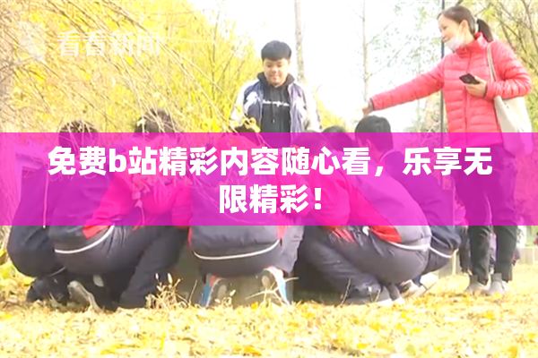 免费b站精彩内容随心看，乐享无限精彩！