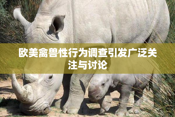 欧美禽兽性行为调查引发广泛关注与讨论