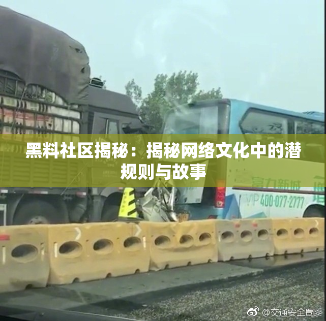 黑料社区揭秘：揭秘网络文化中的潜规则与故事