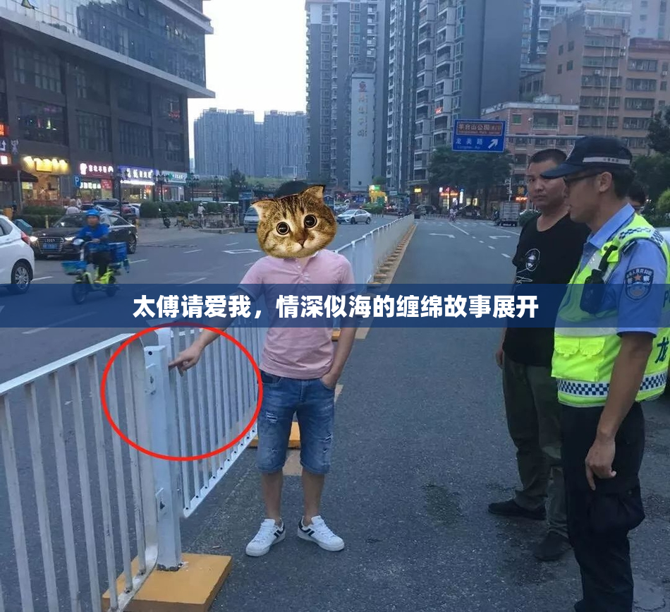 太傅请爱我，情深似海的缠绵故事展开