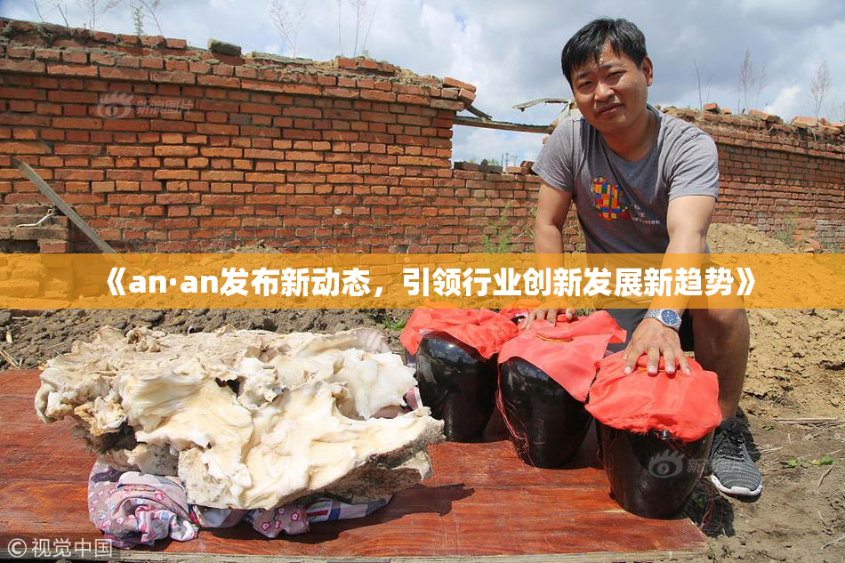 《an·an发布新动态，引领行业创新发展新趋势》