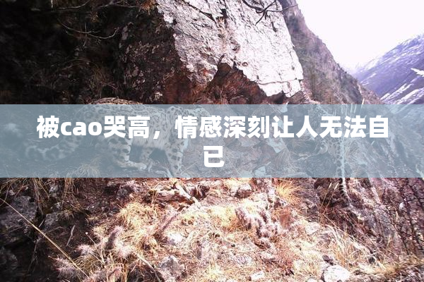 被cao哭高，情感深刻让人无法自已