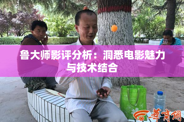 鲁大师影评分析：洞悉电影魅力与技术结合