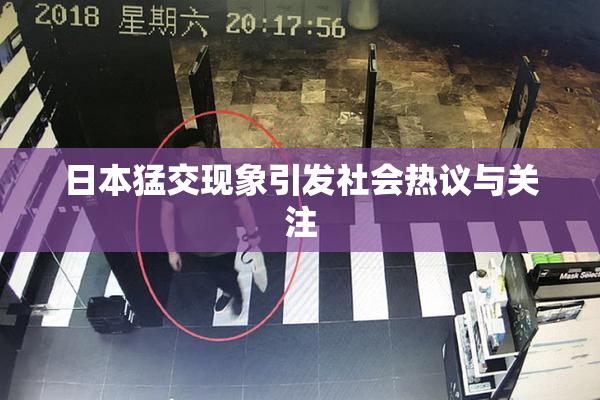 日本猛交现象引发社会热议与关注