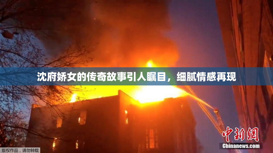 沈府娇女的传奇故事引人瞩目，细腻情感再现