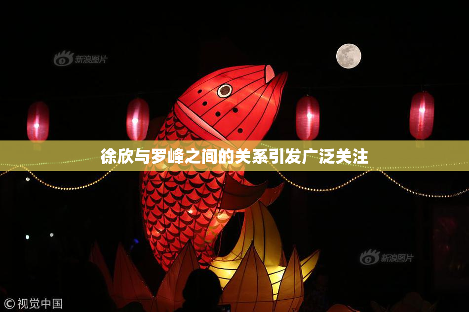 徐欣与罗峰之间的关系引发广泛关注