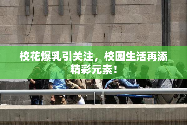 校花爆乳引关注，校园生活再添精彩元素！