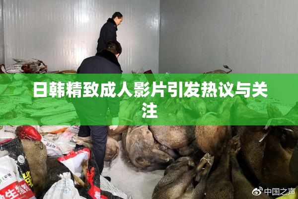 日韩精致成人影片引发热议与关注