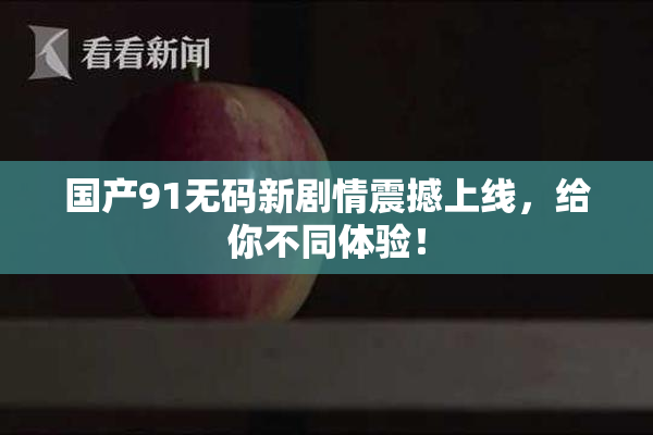 国产91无码新剧情震撼上线，给你不同体验！