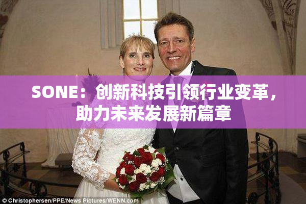 SONE：创新科技引领行业变革，助力未来发展新篇章