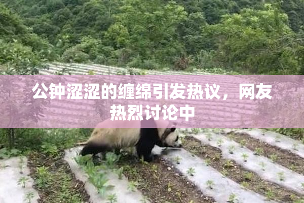 公钟涩涩的缠绵引发热议，网友热烈讨论中