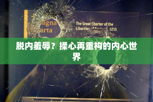 脱内羞辱？揉心再重构的内心世界