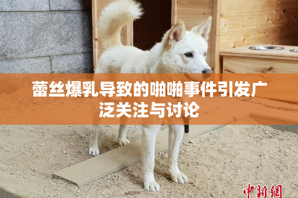 蕾丝爆乳导致的啪啪事件引发广泛关注与讨论