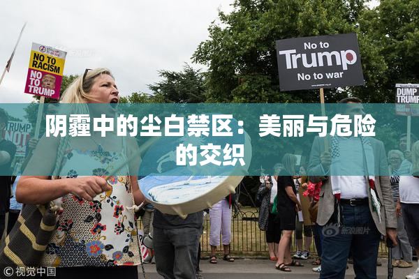 阴霾中的尘白禁区：美丽与危险的交织