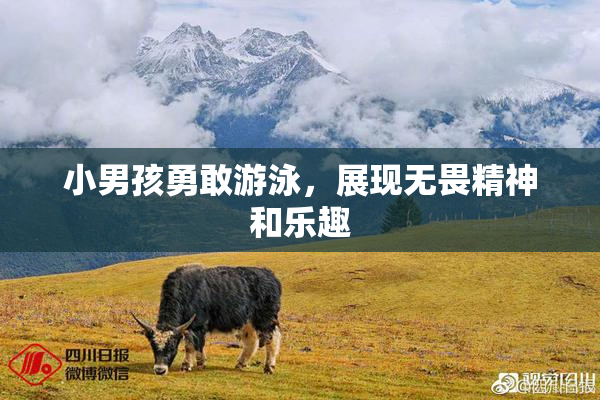 小男孩勇敢游泳，展现无畏精神和乐趣