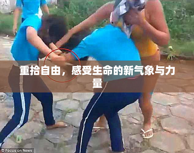 重拾自由，感受生命的新气象与力量