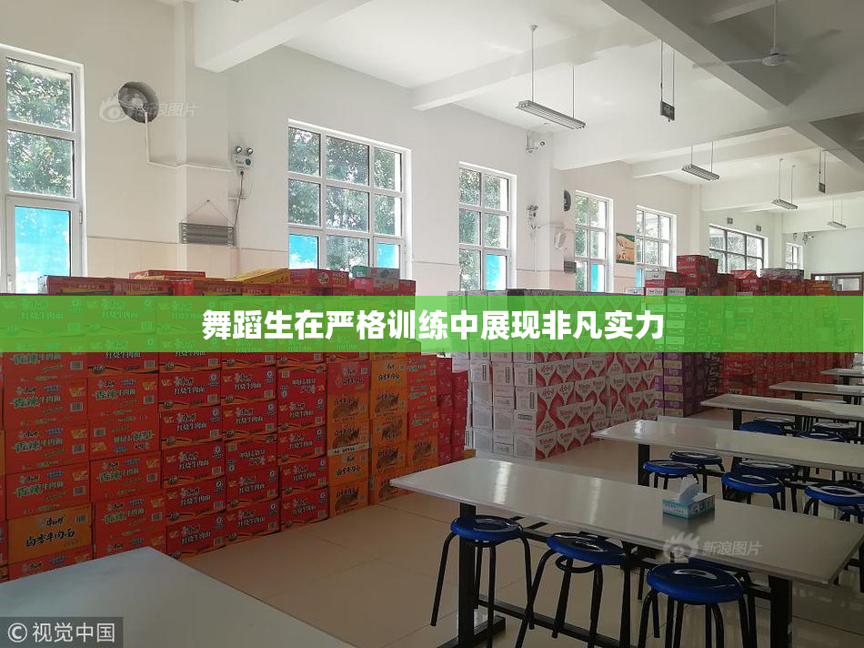 舞蹈生在严格训练中展现非凡实力