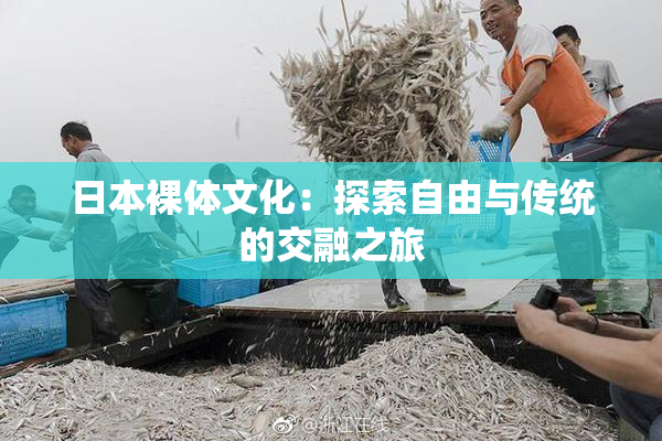 日本裸体文化：探索自由与传统的交融之旅