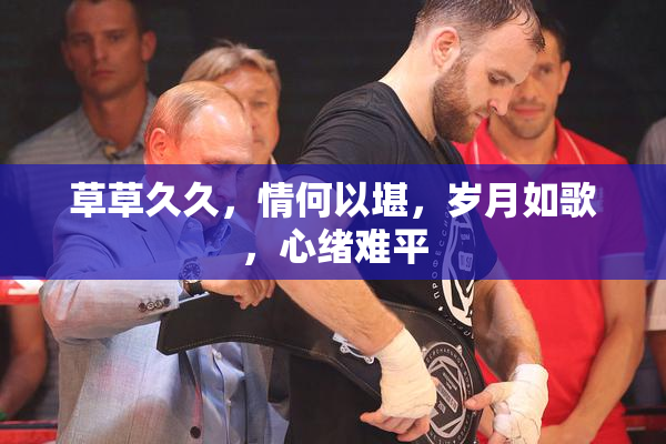 草草久久，情何以堪，岁月如歌，心绪难平
