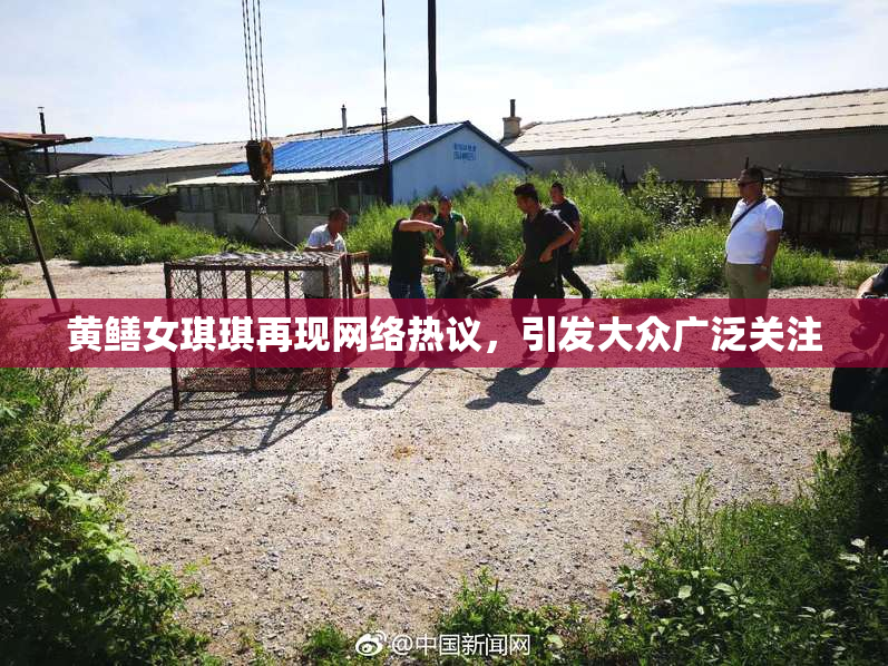 黄鳝女琪琪再现网络热议，引发大众广泛关注