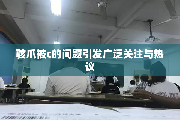 骇爪被c的问题引发广泛关注与热议