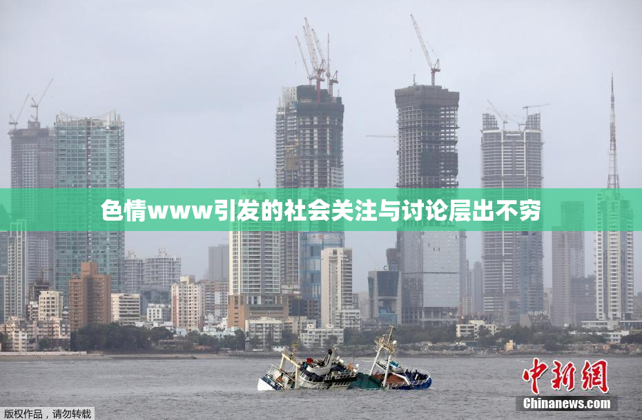 色情www引发的社会关注与讨论层出不穷