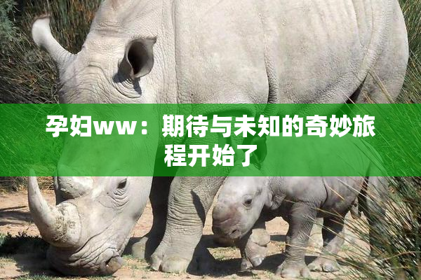 孕妇ww：期待与未知的奇妙旅程开始了