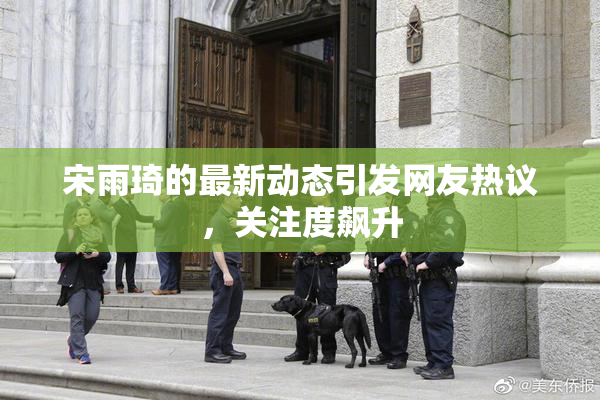 宋雨琦的最新动态引发网友热议，关注度飙升