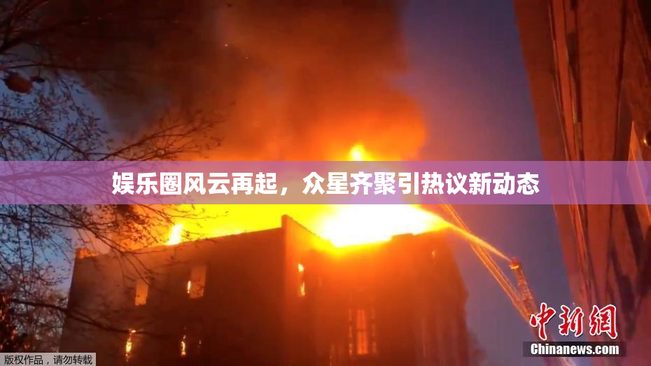 娱乐圈风云再起，众星齐聚引热议新动态