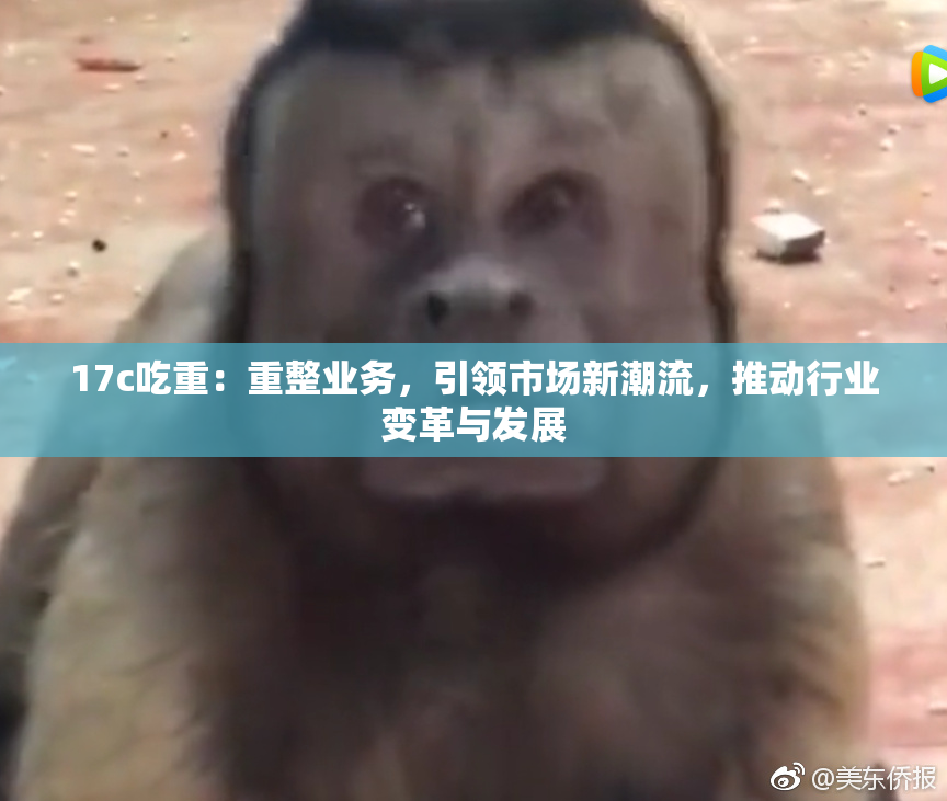 17c吃重：重整业务，引领市场新潮流，推动行业变革与发展
