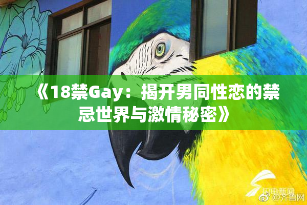 《18禁Gay：揭开男同性恋的禁忌世界与激情秘密》