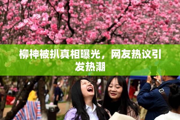 柳神被扒真相曝光，网友热议引发热潮
