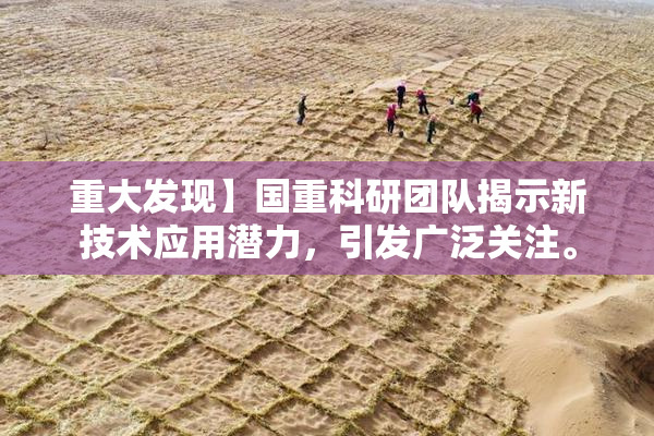 重大发现】国重科研团队揭示新技术应用潜力，引发广泛关注。