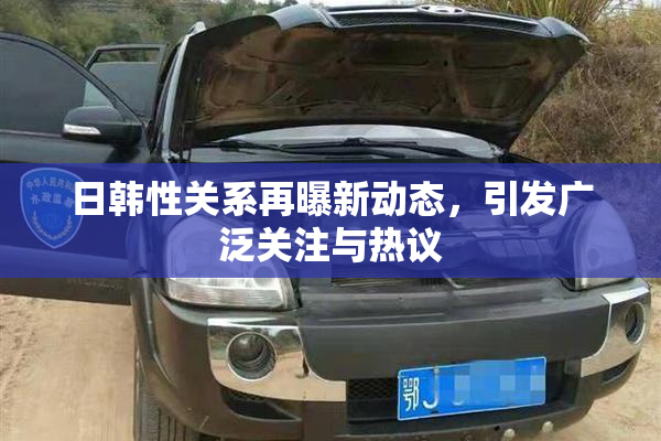 日韩性关系再曝新动态，引发广泛关注与热议