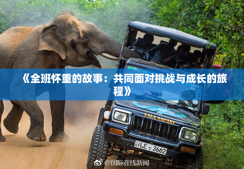 《全班怀重的故事：共同面对挑战与成长的旅程》