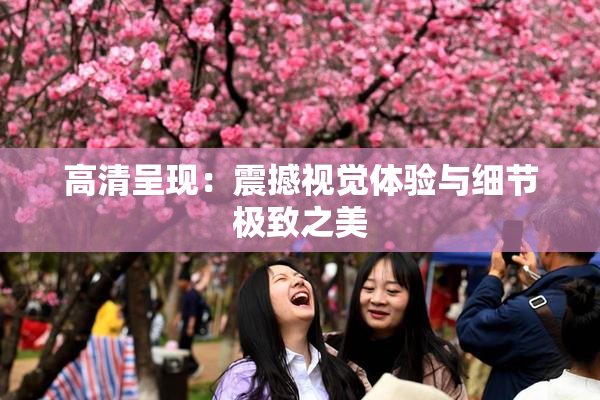 高清呈现：震撼视觉体验与细节极致之美