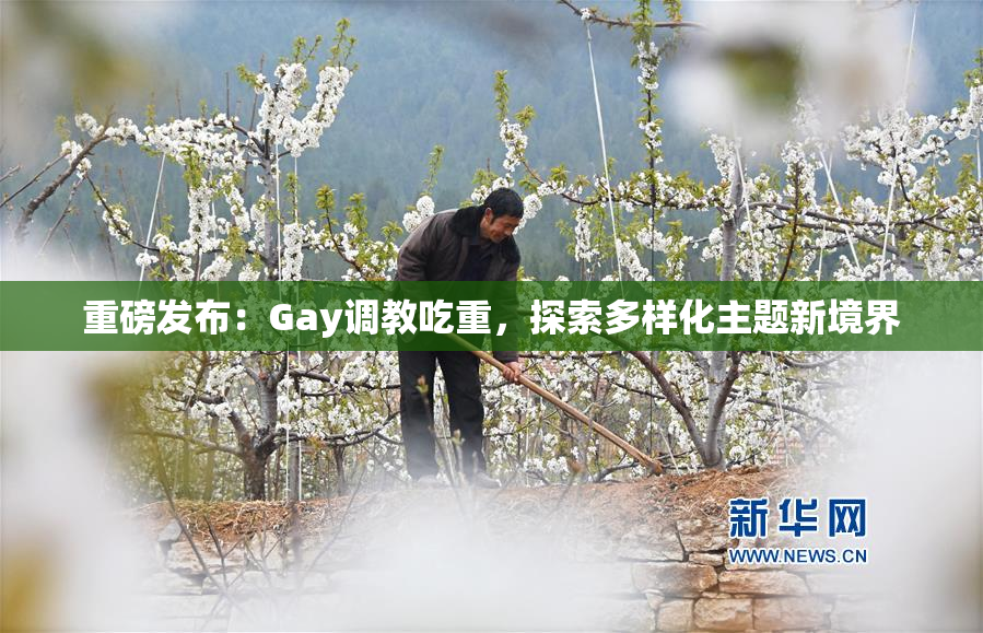 重磅发布：Gay调教吃重，探索多样化主题新境界